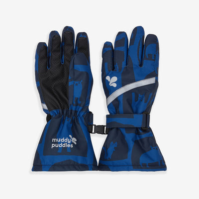 Ski Gloves Blue Cave